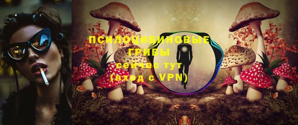 ALPHA PVP Мегион