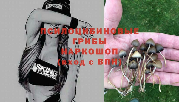 таблы Медвежьегорск