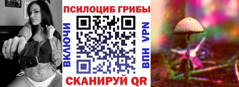 Галлюциногенные грибы Psilocybe Купить закладки Мурманск